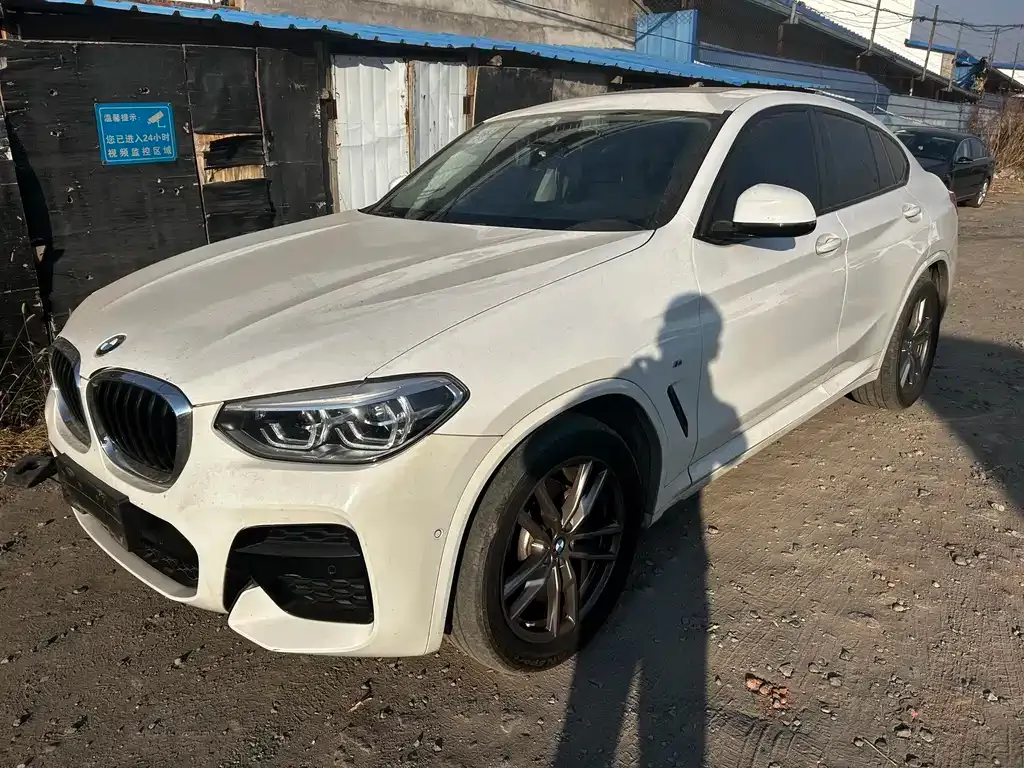 BMW X4 2021 из CN, фото 1