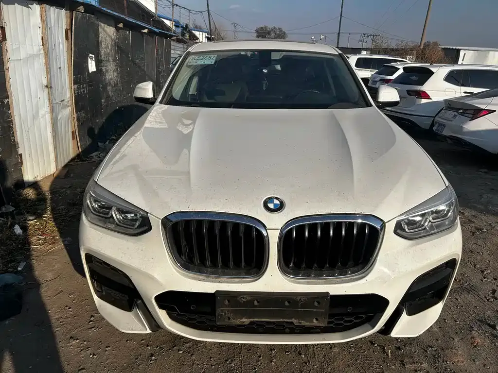 BMW X4 2021 из CN, фото 2