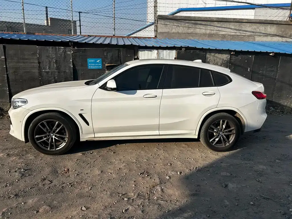 BMW X4 2021 из CN, фото 3