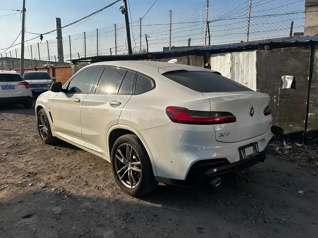BMW X4 2021 из CN, фото 4