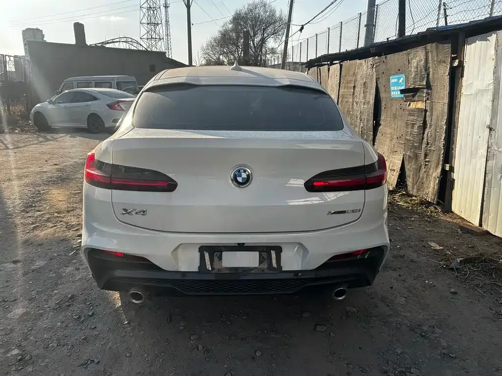 BMW X4 2021 из CN, фото 5