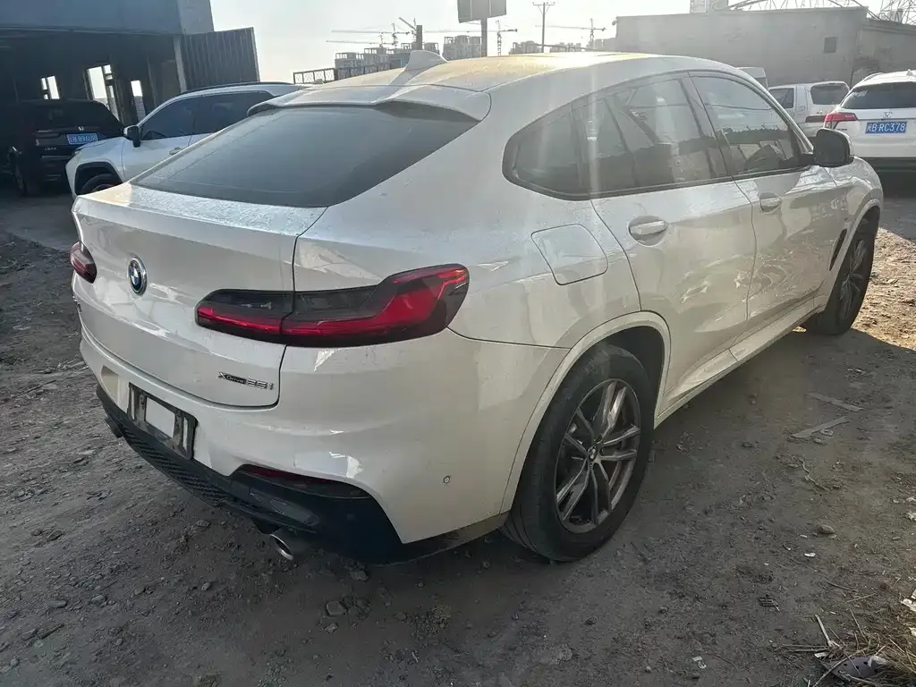 BMW X4 2021 из CN, фото 6