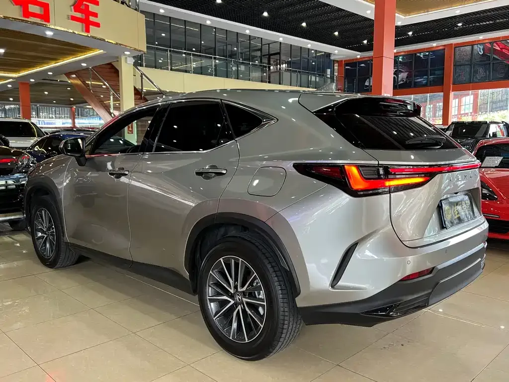 Lexus NX 2023 из CN, фото 6