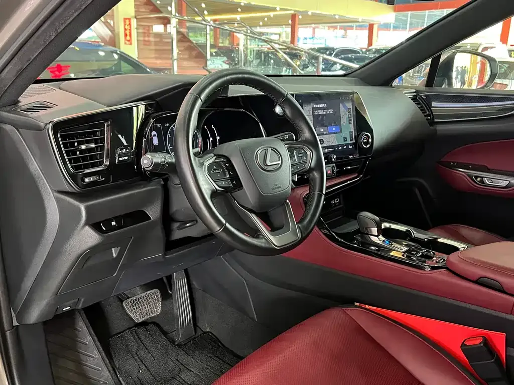 Lexus NX 2023 из CN, фото 7