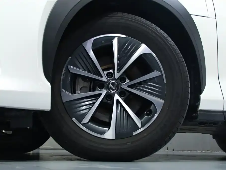 Lexus RZ 2023 из CN, фото 3
