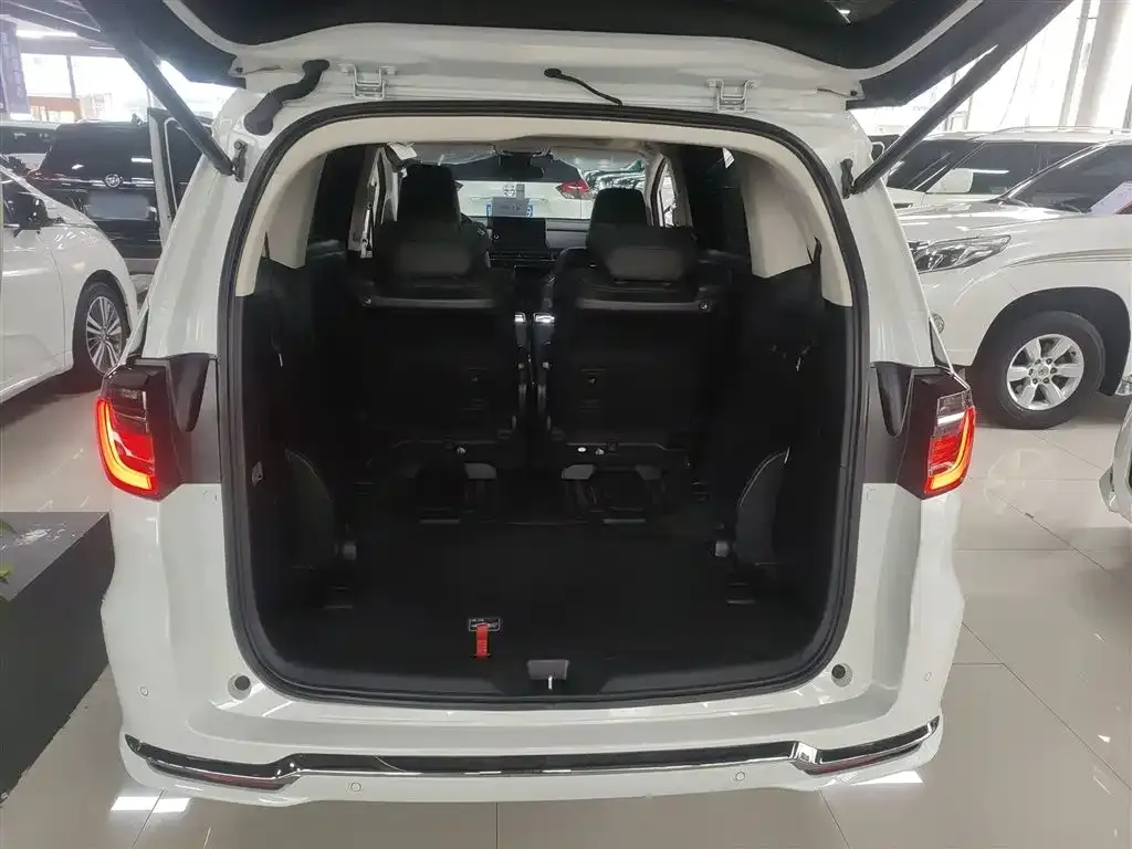 Honda Elysion 2023 из CN, фото 9