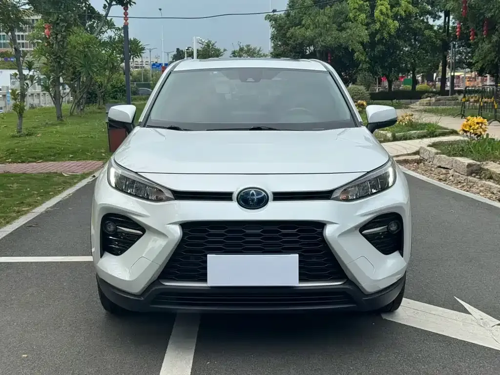Toyota Wildlander 2022 из CN, фото 2