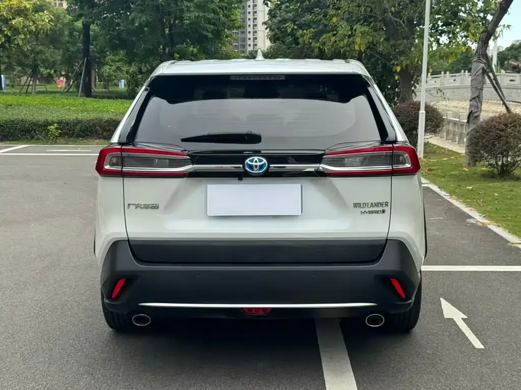 Toyota Wildlander 2022 из CN, фото 8