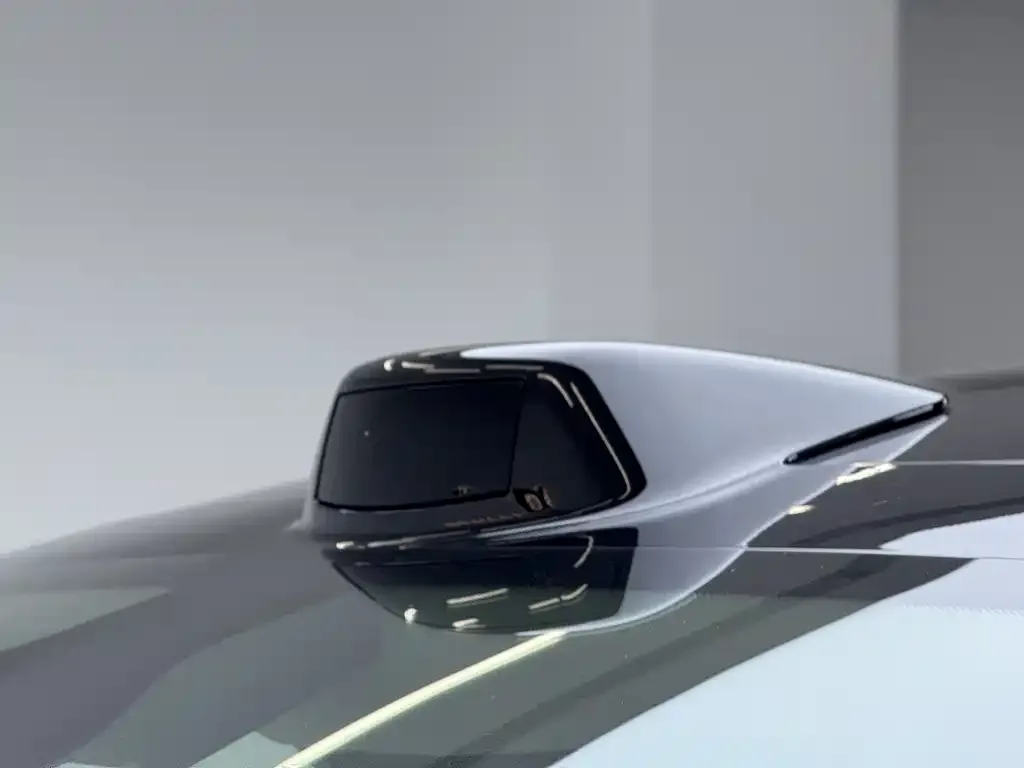 Li Auto MEGA 2024 из CN, фото 10
