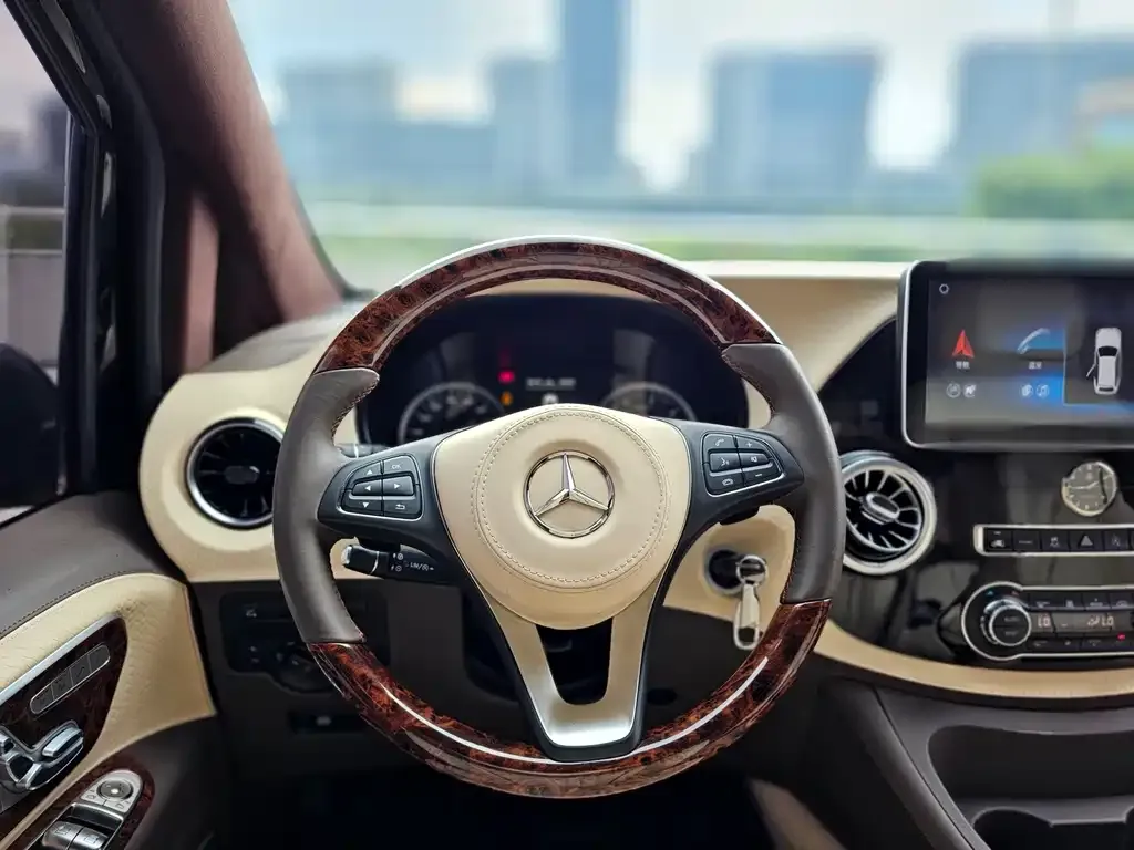 Mercedes-Benz Vito 2022 из CN, фото 10