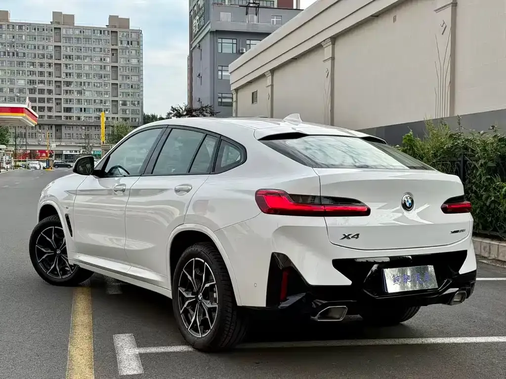 BMW X4 2025 из CN, фото 6
