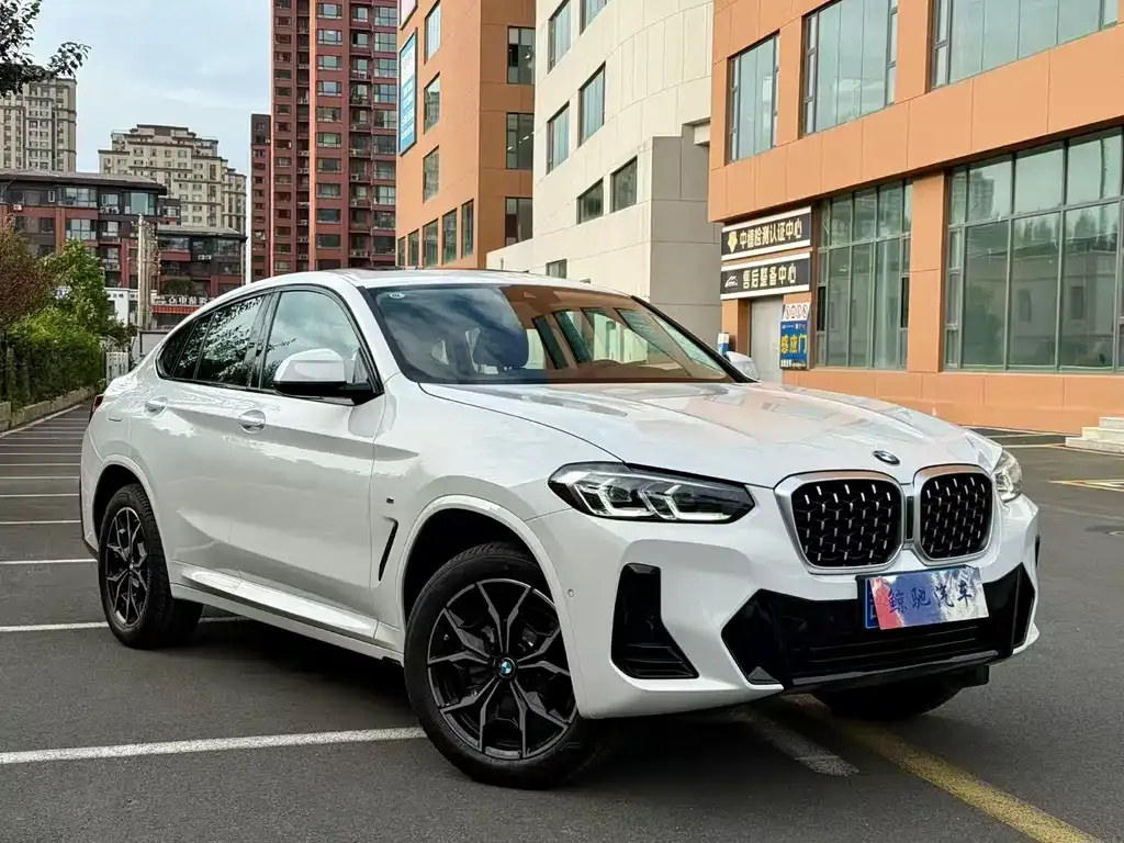 BMW X4 2025 из CN, фото 7