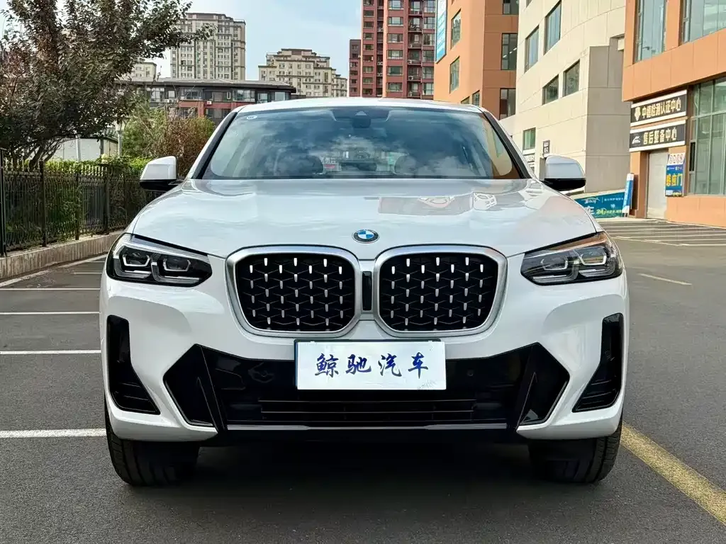 BMW X4 2025 из CN, фото 8