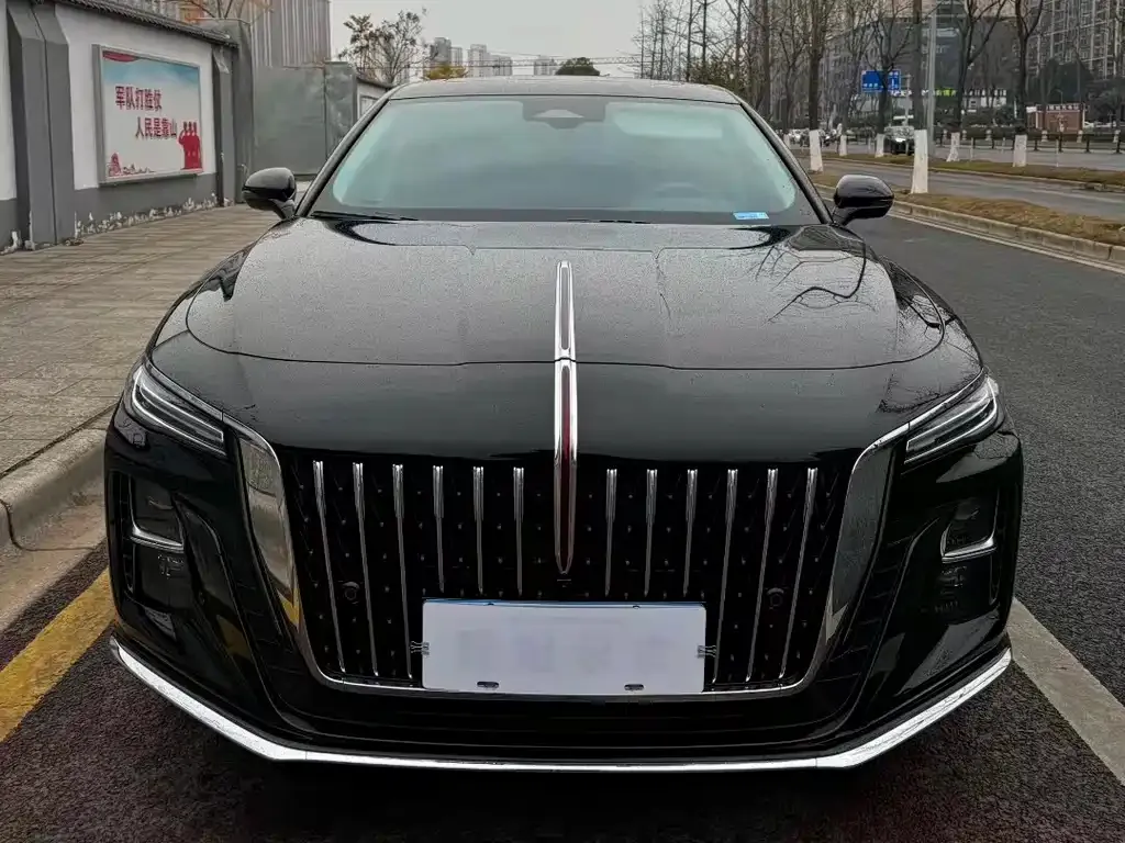 Hongqi H5 2024 из CN, фото 2