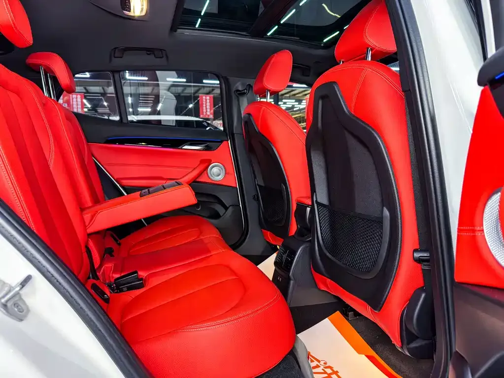 BMW X2 2021 из CN, фото 5