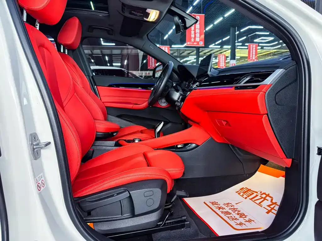 BMW X2 2021 из CN, фото 6
