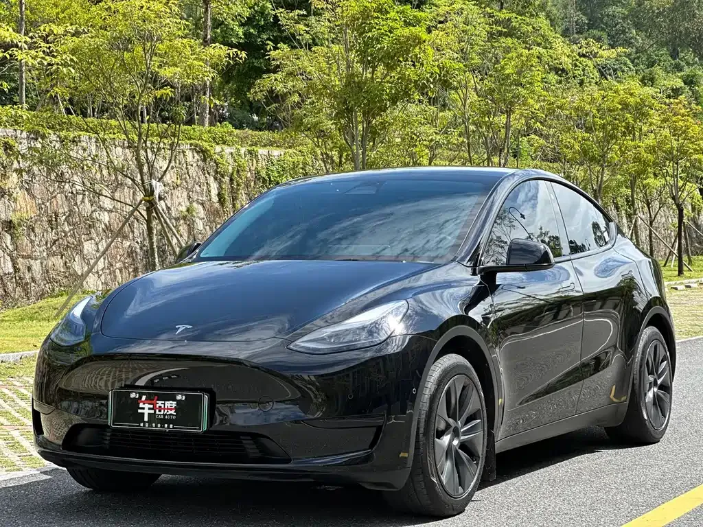 Tesla Model Y — фото 1