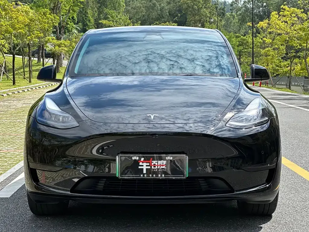 Tesla Model Y — фото 2