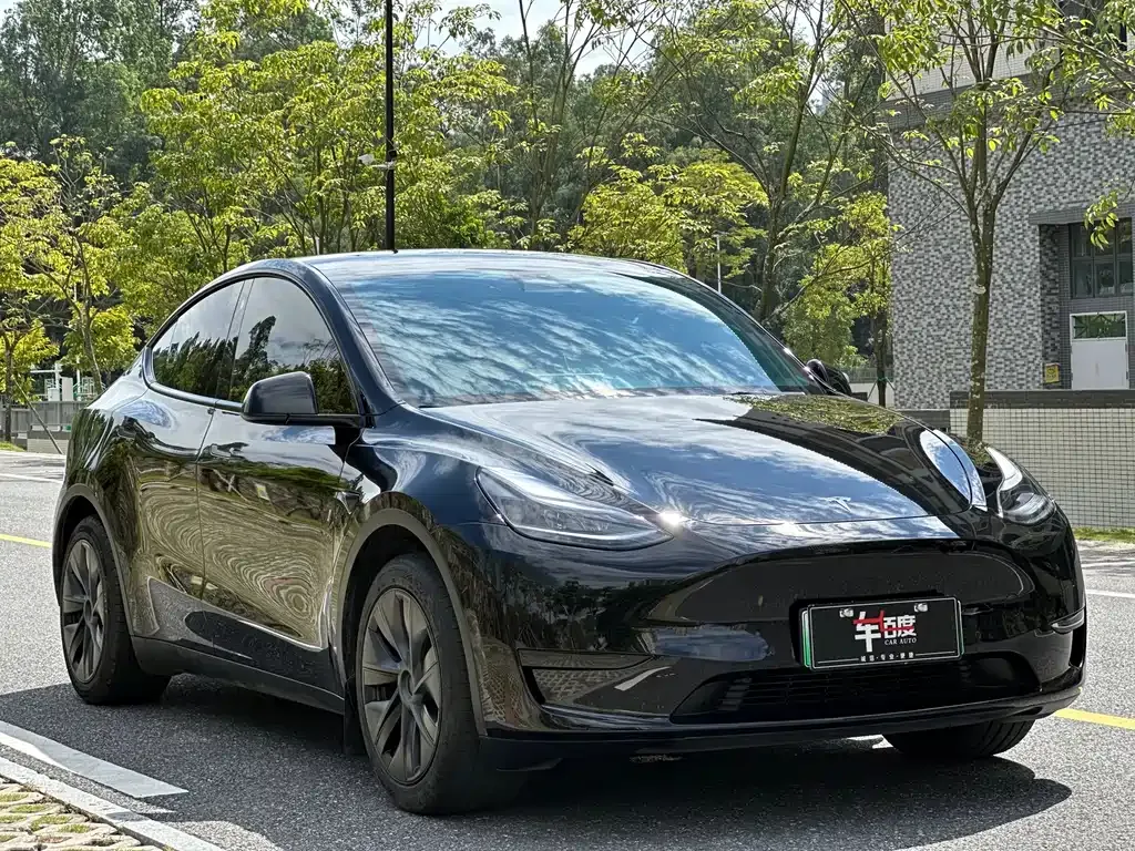 Tesla Model Y — фото 3