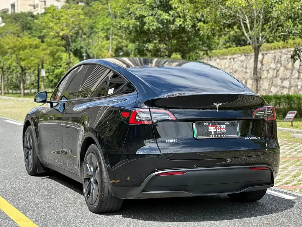 Tesla Model Y — фото 6