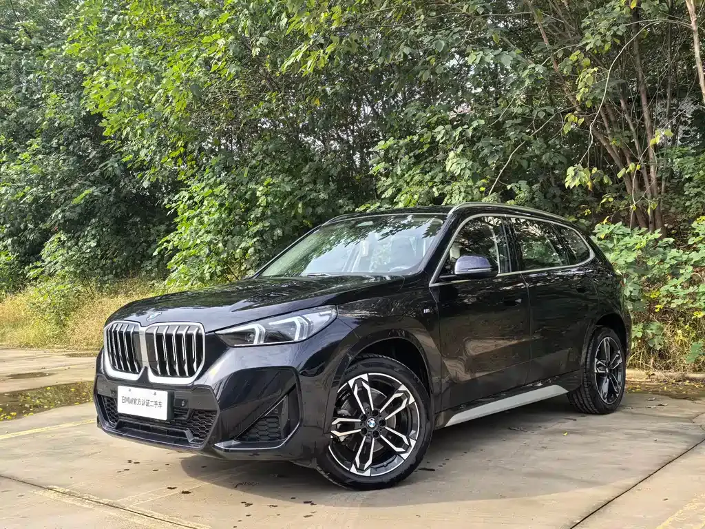 BMW X1 2025 из CN, фото 1