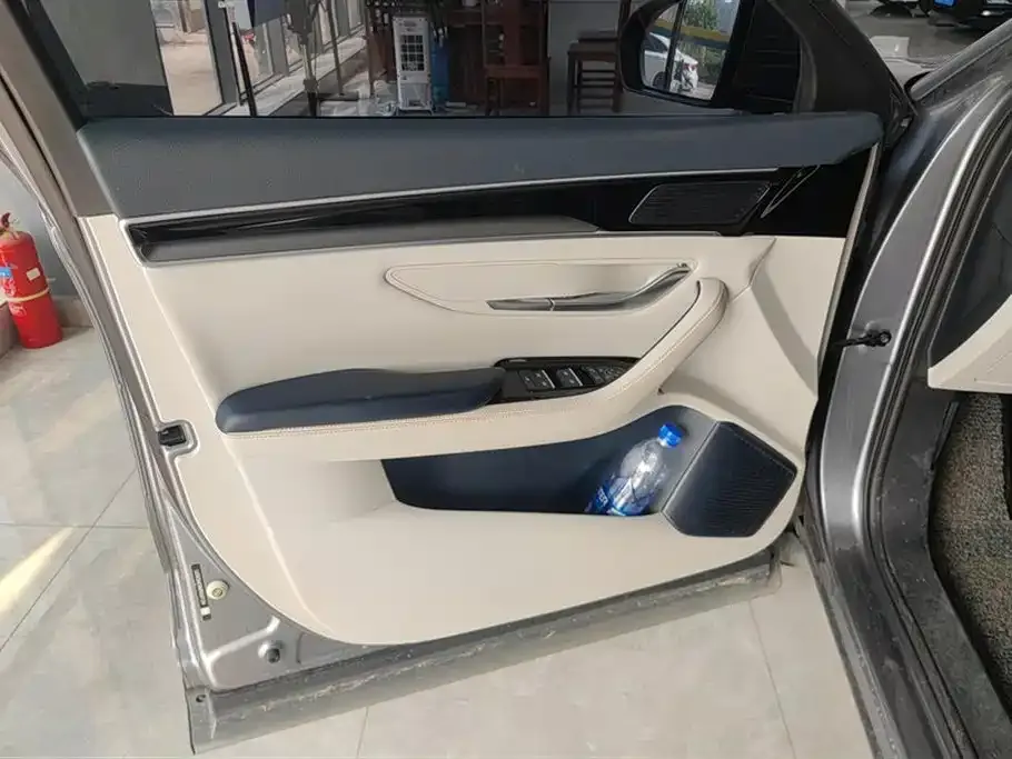 BYD PLUS New Energy 2023 из CN, фото 7