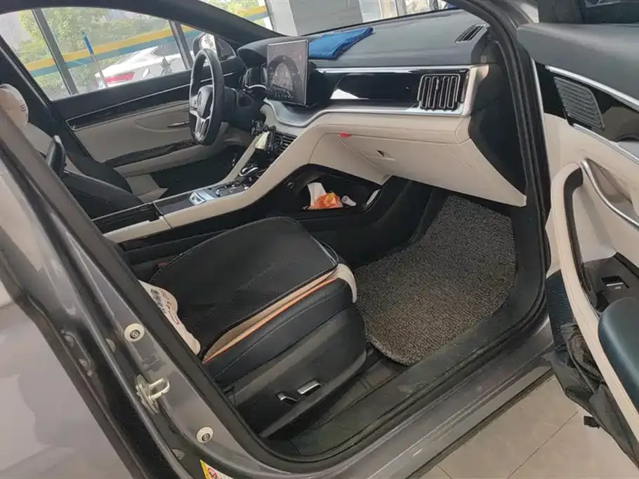 BYD PLUS New Energy 2023 из CN, фото 8