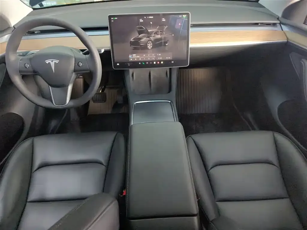 Tesla Model Y — фото 10