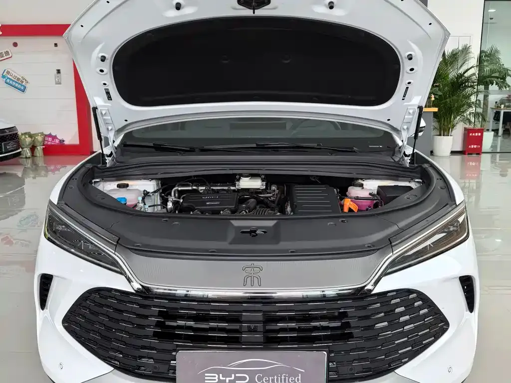 BYD L DM-i 2025 из CN, фото 2
