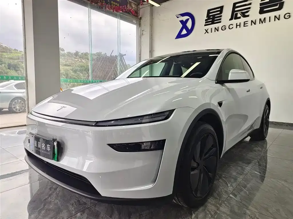 Tesla Model Y 2025 из CN, фото 1
