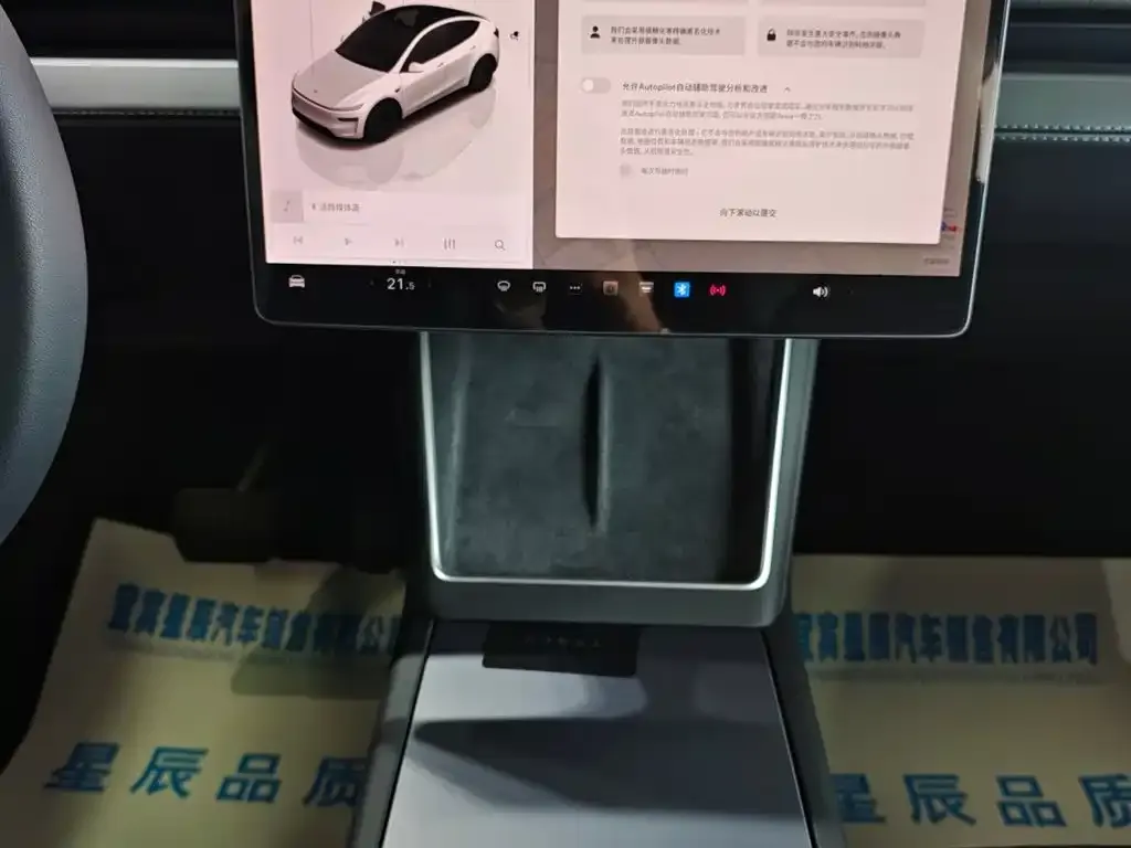 Tesla Model Y 2025 из CN, фото 10