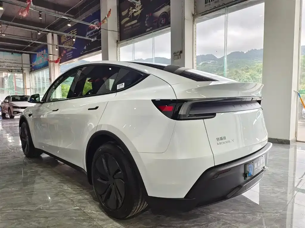 Tesla Model Y 2025 из CN, фото 4
