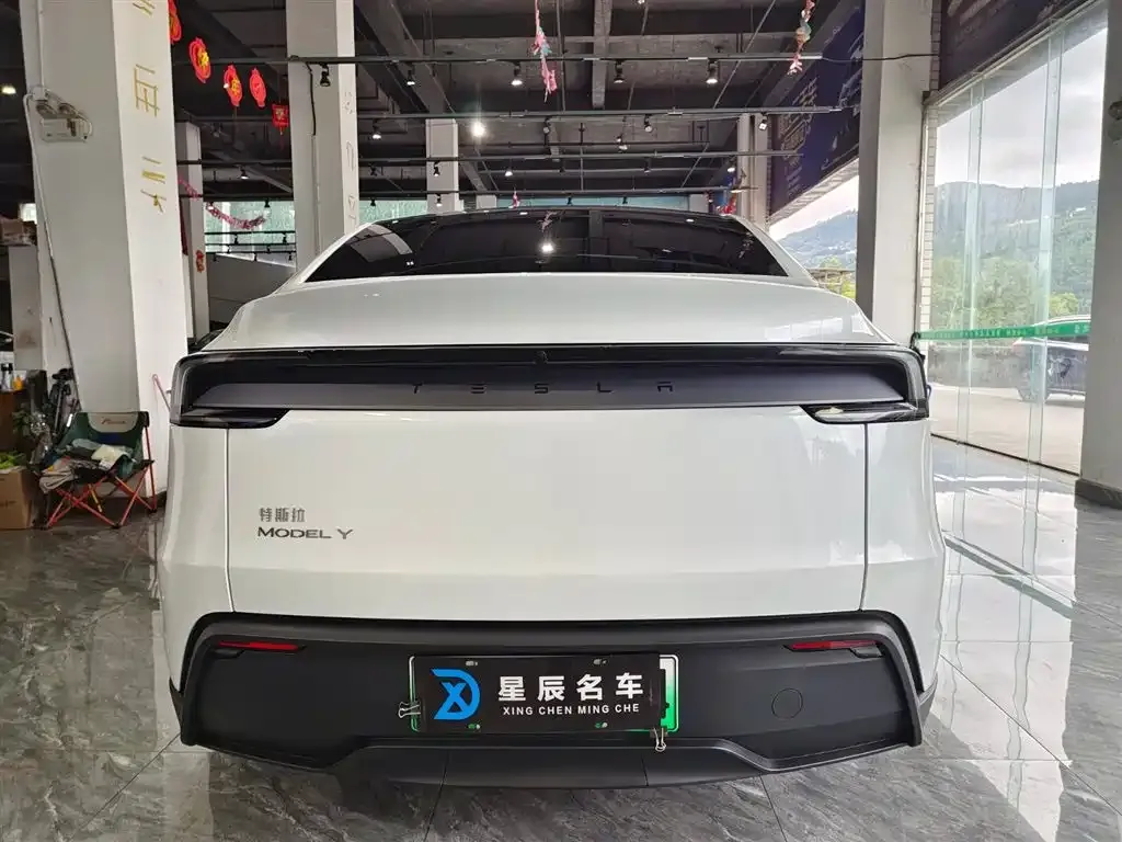 Tesla Model Y 2025 из CN, фото 5