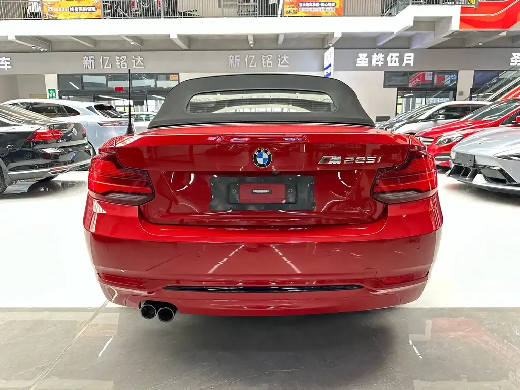 BMW 2 Series (Import) 2021 из CN, фото 6