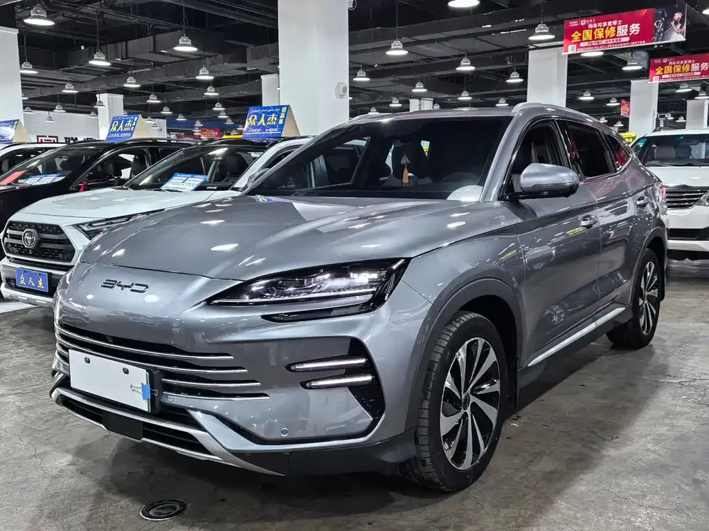BYD PLUS New Energy 2024 из CN, фото 2