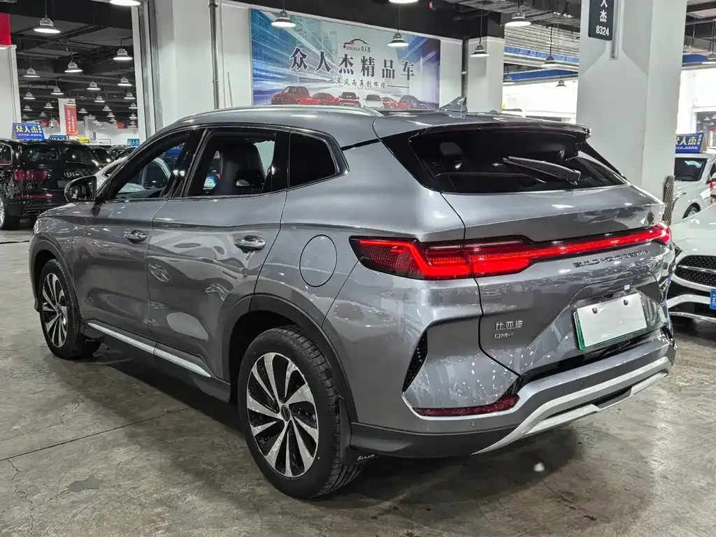 BYD PLUS New Energy 2024 из CN, фото 6