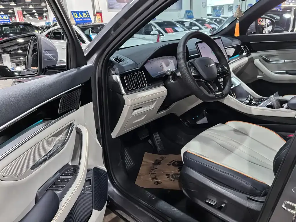 BYD PLUS New Energy 2024 из CN, фото 7