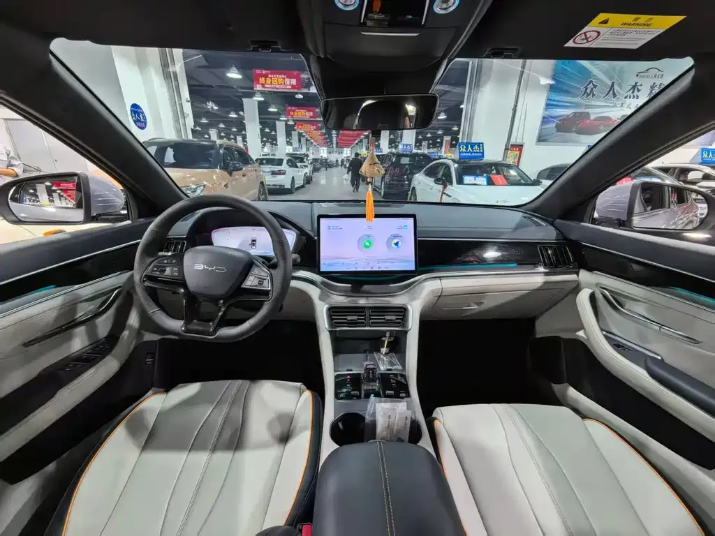 BYD PLUS New Energy 2024 из CN, фото 8
