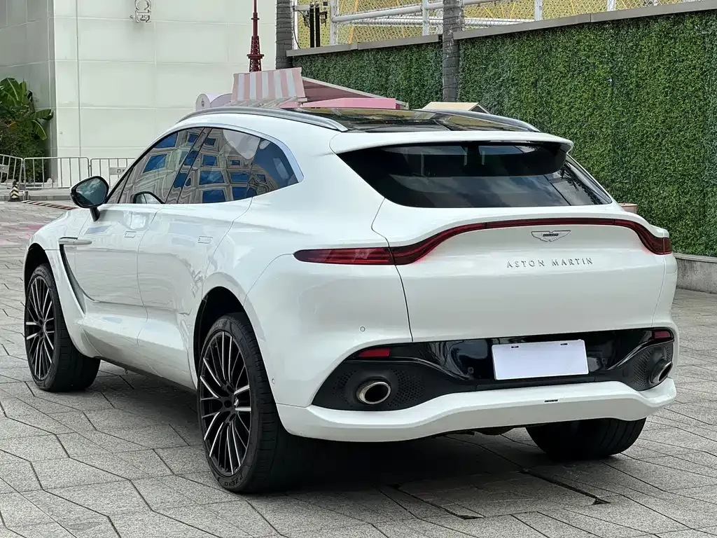 Aston Martin DBX 2023 из CN, фото 4