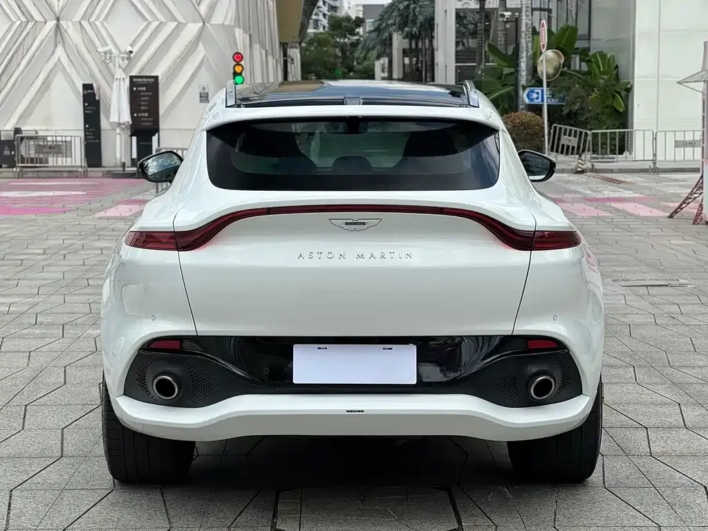 Aston Martin DBX 2023 из CN, фото 5