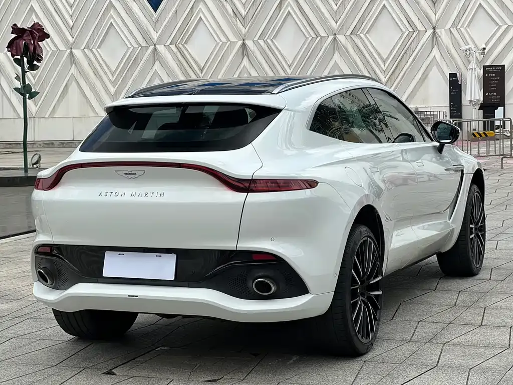 Aston Martin DBX 2023 из CN, фото 6