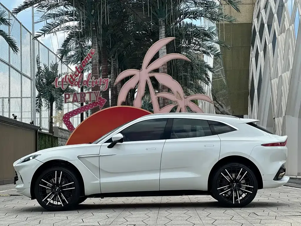 Aston Martin DBX 2023 из CN, фото 7