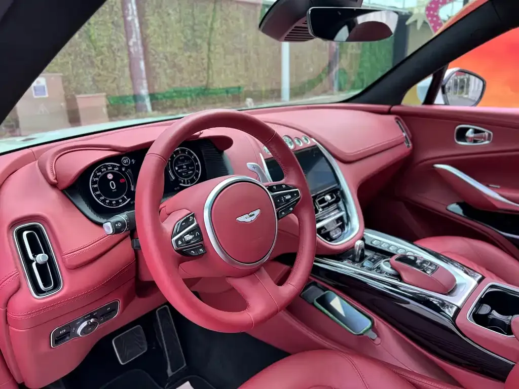 Aston Martin DBX 2023 из CN, фото 9
