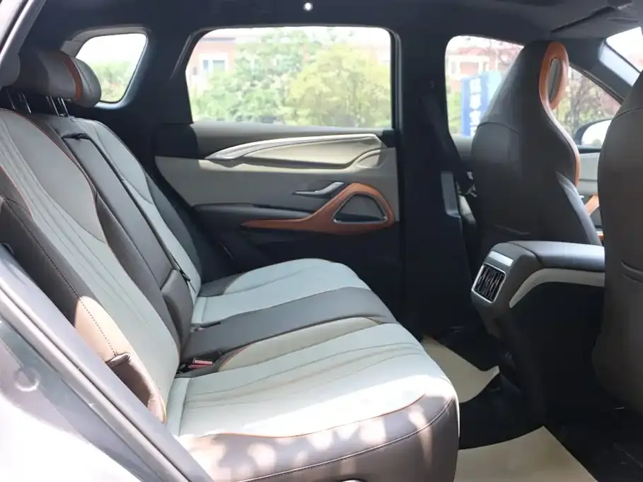 BYD Pro New Energy 2023 из CN, фото 10