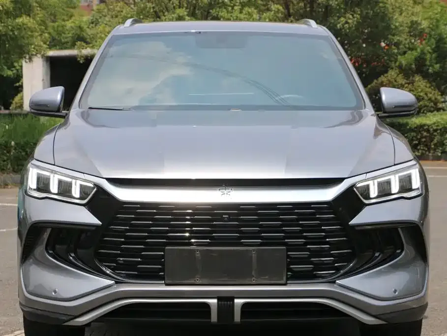 BYD Pro New Energy 2023 из CN, фото 5