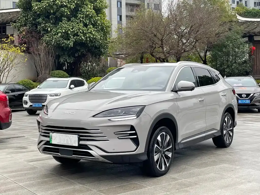 BYD PLUS New Energy 2024 из CN, фото 1