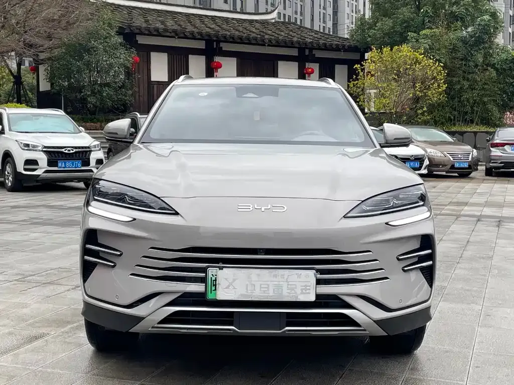 BYD PLUS New Energy 2024 из CN, фото 2