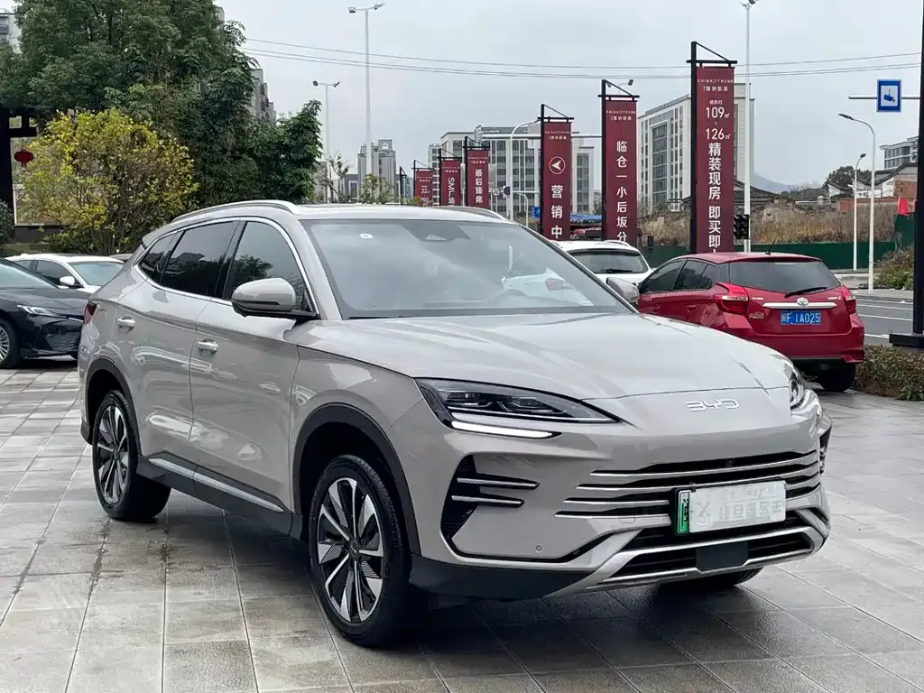 BYD PLUS New Energy 2024 из CN, фото 3