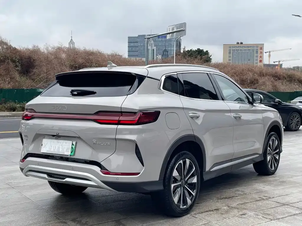 BYD PLUS New Energy 2024 из CN, фото 4