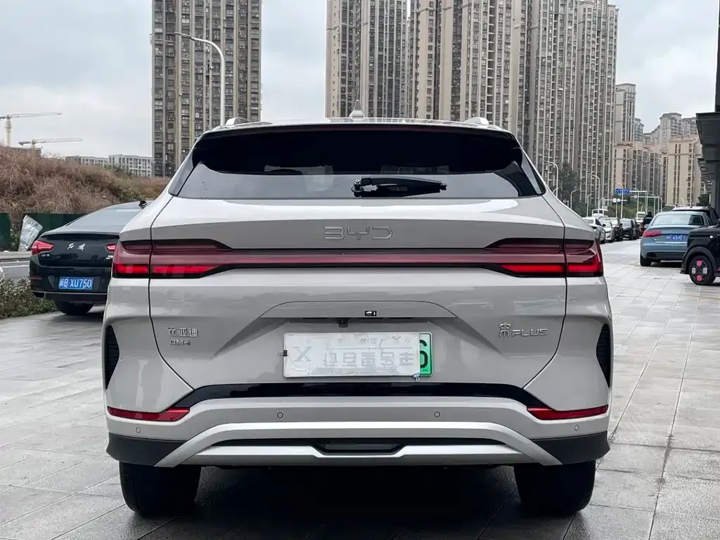 BYD PLUS New Energy 2024 из CN, фото 5